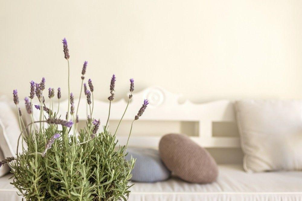 Villa Kampani Sea View Villa Mykonos Town Екстер'єр фото